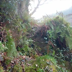DSCN6156