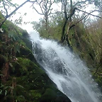 DSCN6131