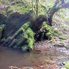 DSCN6148