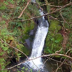 DSCN6139
