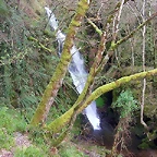 DSCN6128