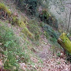 DSCN6124
