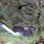 DSCN6137