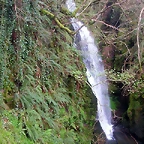 DSCN6129