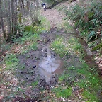 DSCN6160