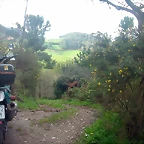 DSCN6171