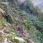 DSCN6155
