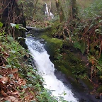 DSCN6135