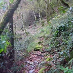 DSCN6153