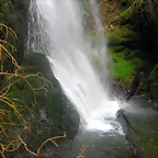 DSCN6130