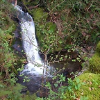DSCN6138