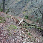 DSCN6157