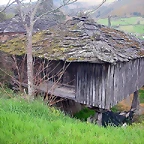DSCN6186
