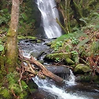 DSCN6147