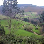 DSCN6190