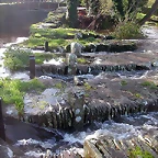 DSCN4674