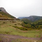 DSCN6661