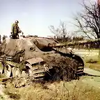 Americano inspeccionando un Panther alemn. 1944