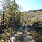 DSCN9026