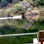 DSCN3484