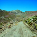 DSCN9353