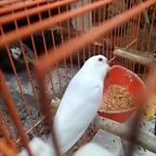 IMG_20181018_165829242