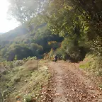 DSCN4472