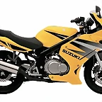 Suzuki GS 500F 2004