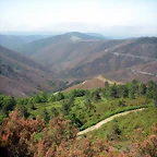 DSCN5729