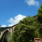 DSCN9364