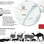 Coronavirus2020-8