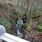 DSCN3317