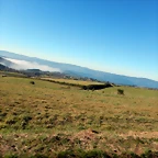 DSCN1099