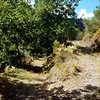 DSCN0264