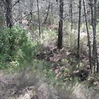 PICT0055