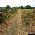 70-IMG_1541