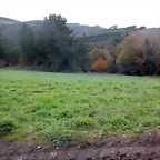 DSCN0608