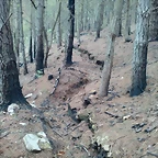 Trinchera V