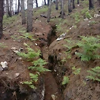 Trinchera II