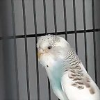 20181022_114143