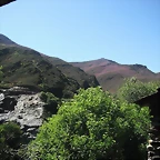 DSCF2653