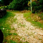 DSCN5243