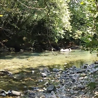 IMG-20220908-WA0022
