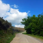 DSCN4902