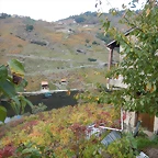 DSCN9853