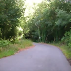 DSCN1862