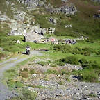 DSCN5254