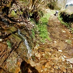 DSCN9029