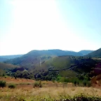 DSCN6935