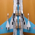 Mig 31-D007